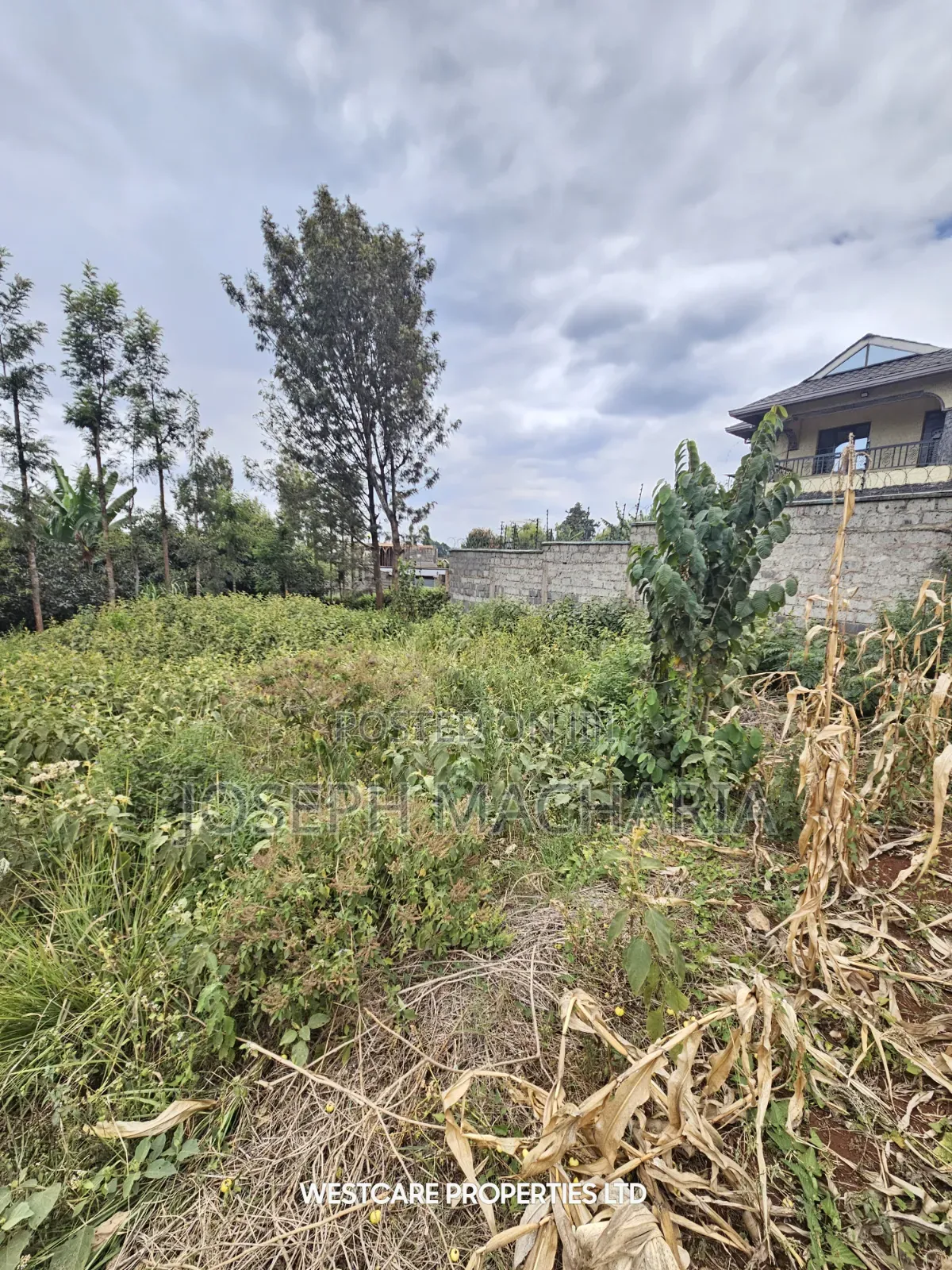 Plot for Sale Riabai Kirigiti