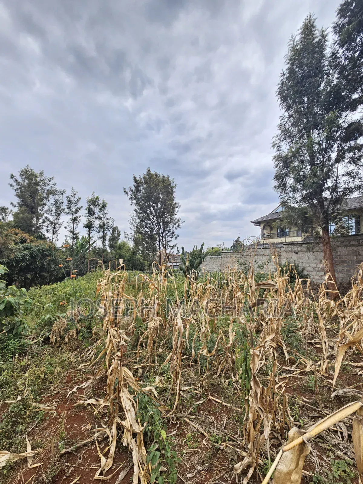 Plot for Sale Riabai Kirigiti