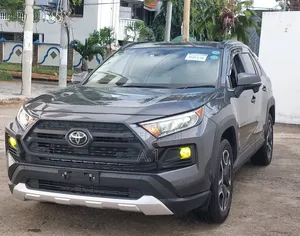 Toyota RAV4 Adventure 2019 Gray