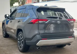 Toyota RAV4 Adventure 2019 Gray