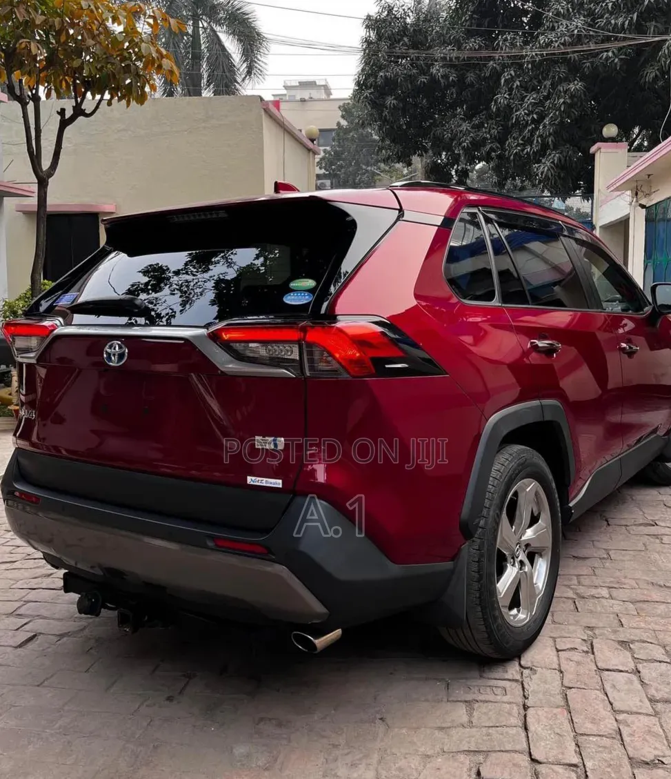 Toyota RAV4 Hybrid 2019 Maroon