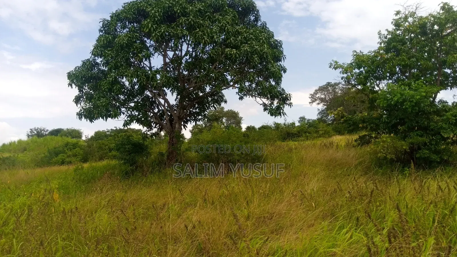 Land on Sale Kwale Kundutsi 7 Ares 950 Per Acre