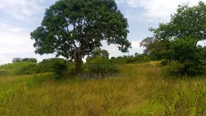 Land on Sale Kwale Kundutsi 7 Ares 950 Per Acre