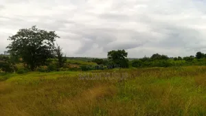 Land on Sale Kwale Kundutsi 7 Ares 950 Per Acre