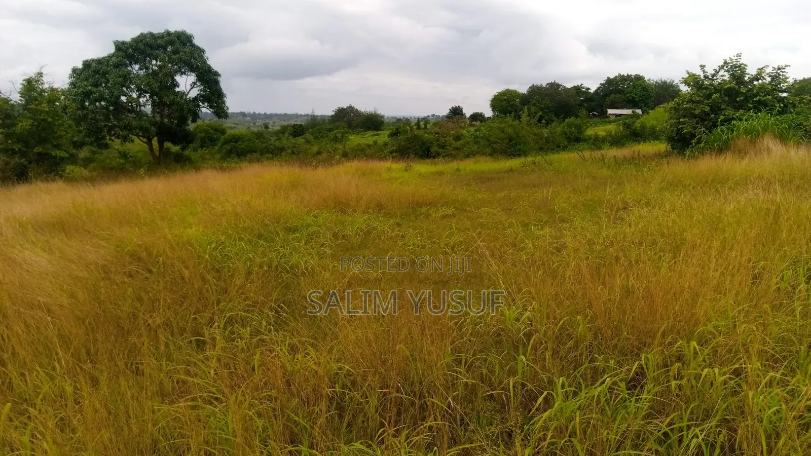 Land on Sale Kwale Kundutsi 7 Ares 950 Per Acre