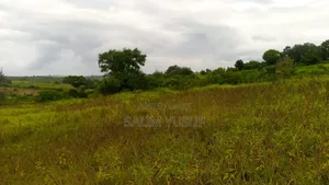 Land on Sale Kwale Kundutsi 7 Ares 950 Per Acre