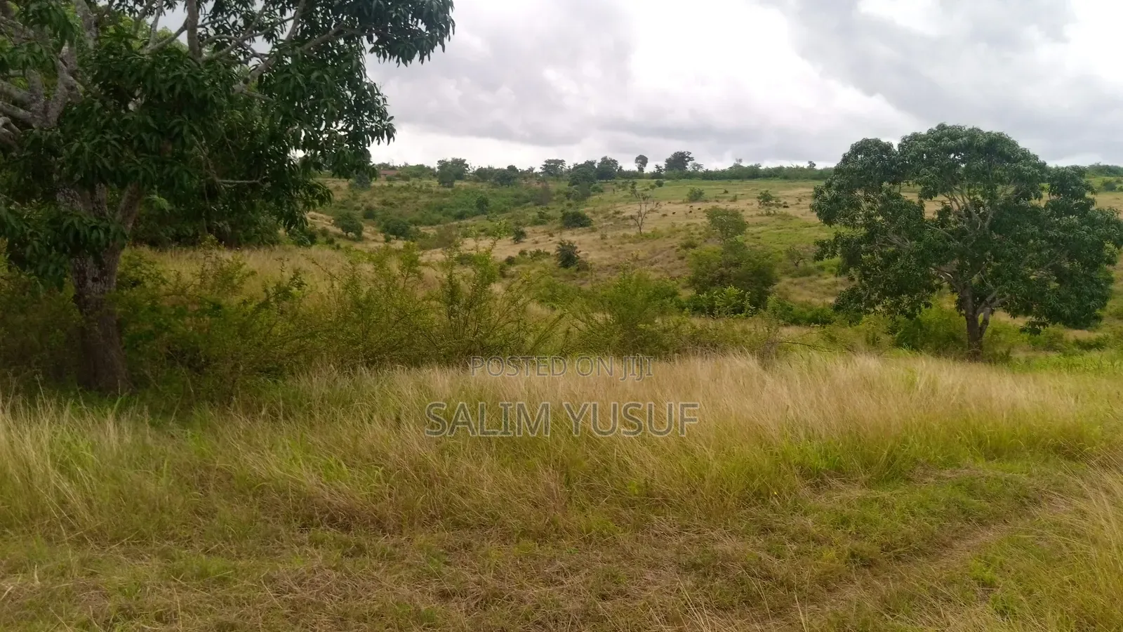 Land on Sale Kwale Kundutsi 7 Ares 950 Per Acre