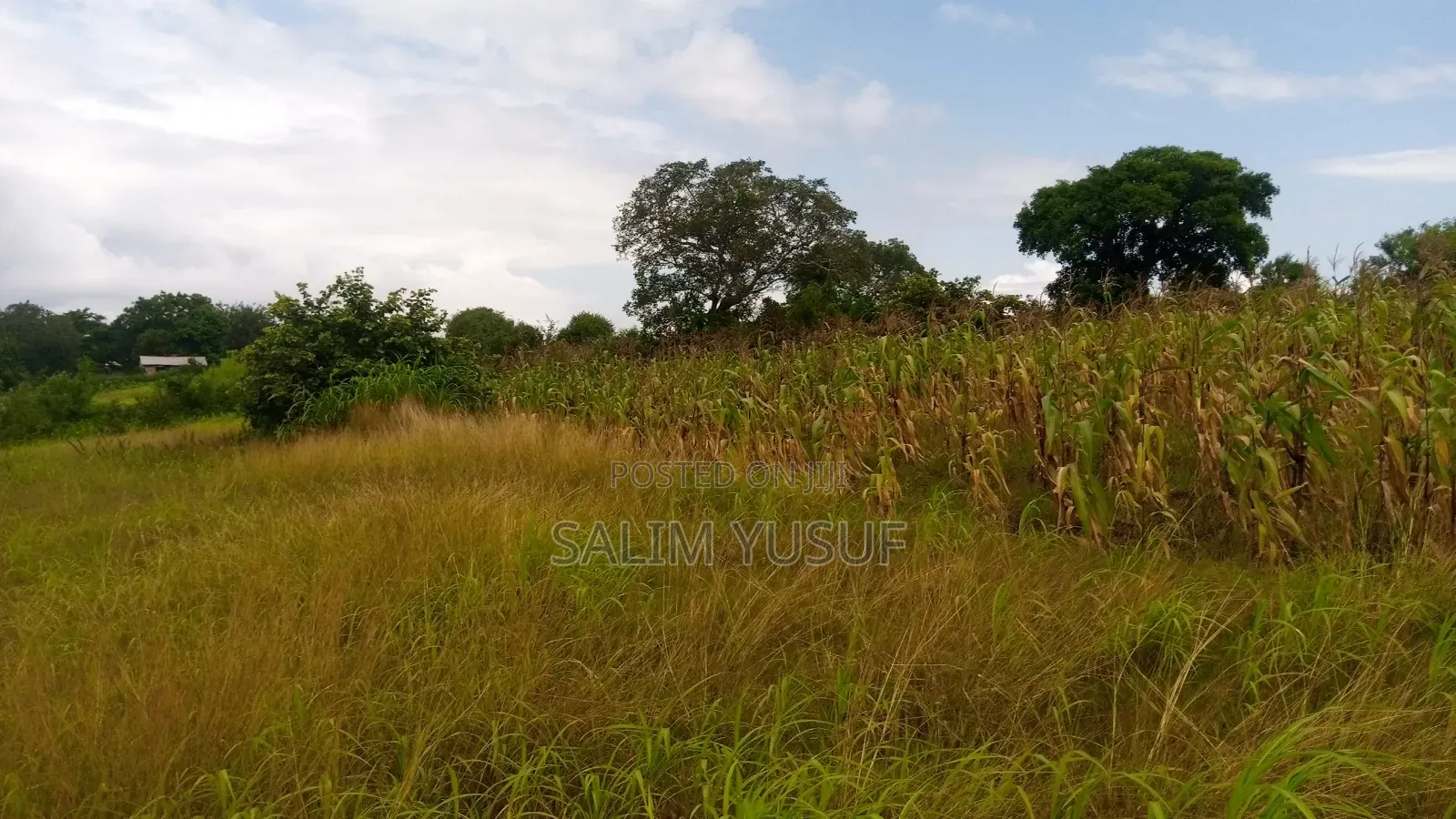Land on Sale Kwale Kundutsi 7 Ares 950 Per Acre