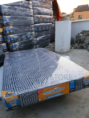 Superfoam Morning Glory Medium Density 3x6 6 Inch Plain Mattress