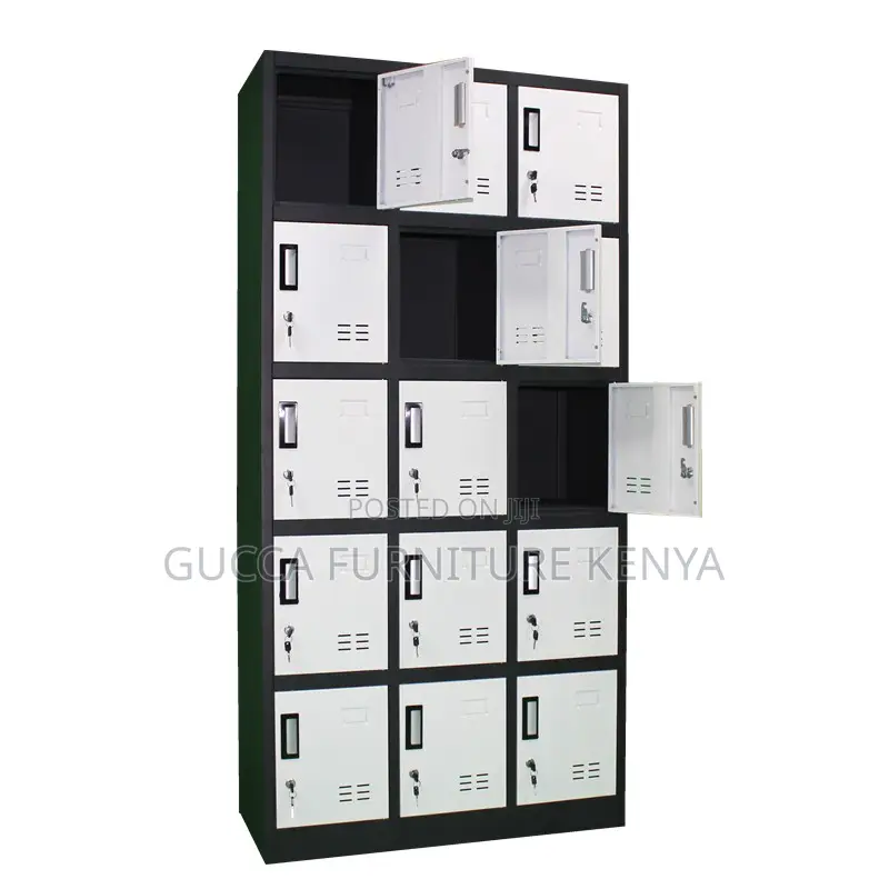 15-Door's Imported Gym/School Storage Locker