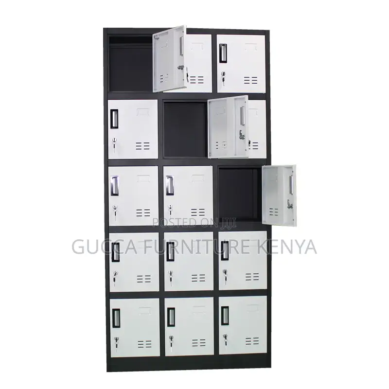 15-Door's Imported Gym/School Storage Locker