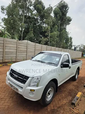 Isuzu D-MAX 2010 White