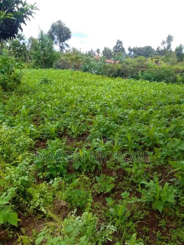 2 Acres Kinale, Soko Mjinga Area