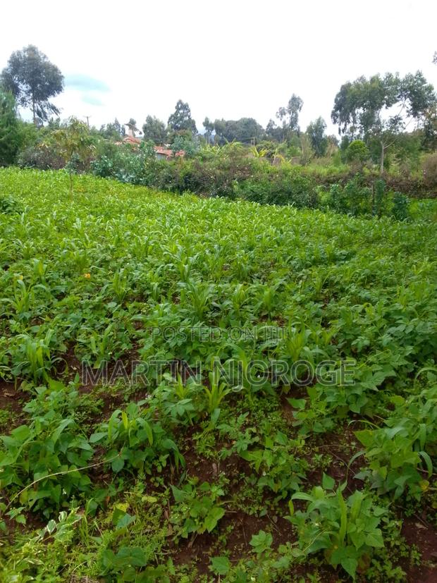 2 Acres Kinale, Soko Mjinga Area - thumbnail 2
