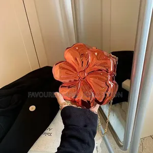 Ladies Handbag