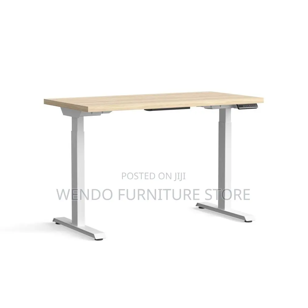 Office Desk; Axrt 1.2 Meters Electric Adjustable Desk