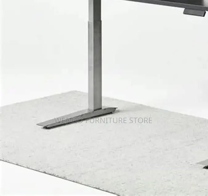 Office Desk; Axrt 1.2 Meters Electric Adjustable Desk