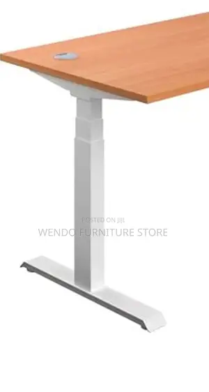 Office Desk; Axrt 1.2 Meters Electric Adjustable Desk