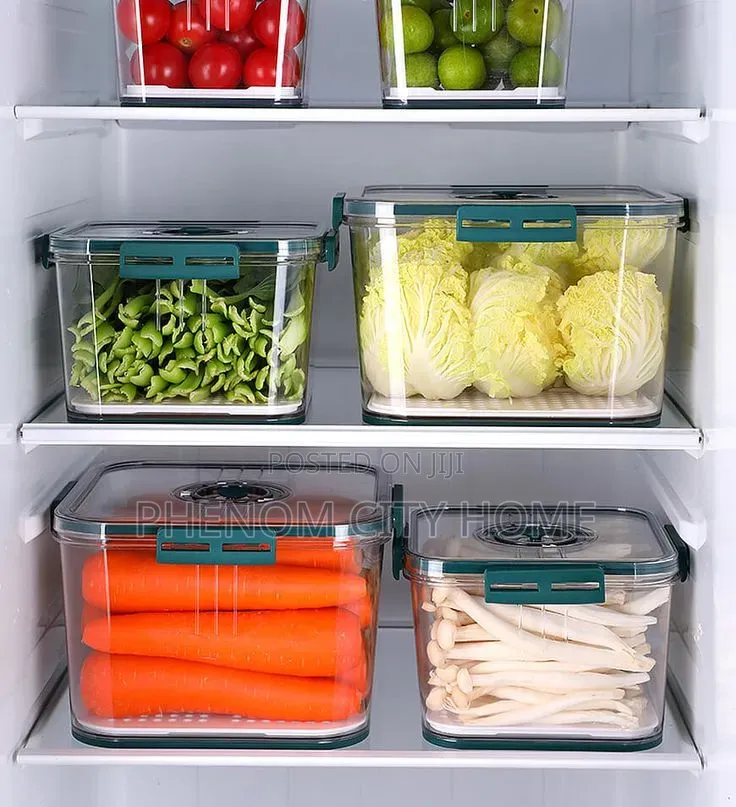 3 in 1 Multipurpose Storage Containers