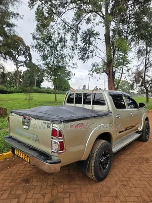 Toyota Hilux 2.5 D-4D 2007 Gold