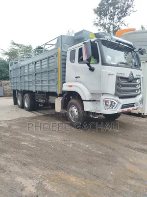 Brand New Sinotruk 2026 White