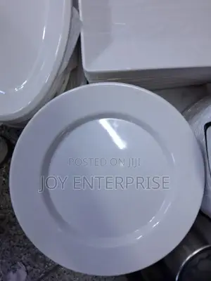 10.5 Inch Melamine Round Plate