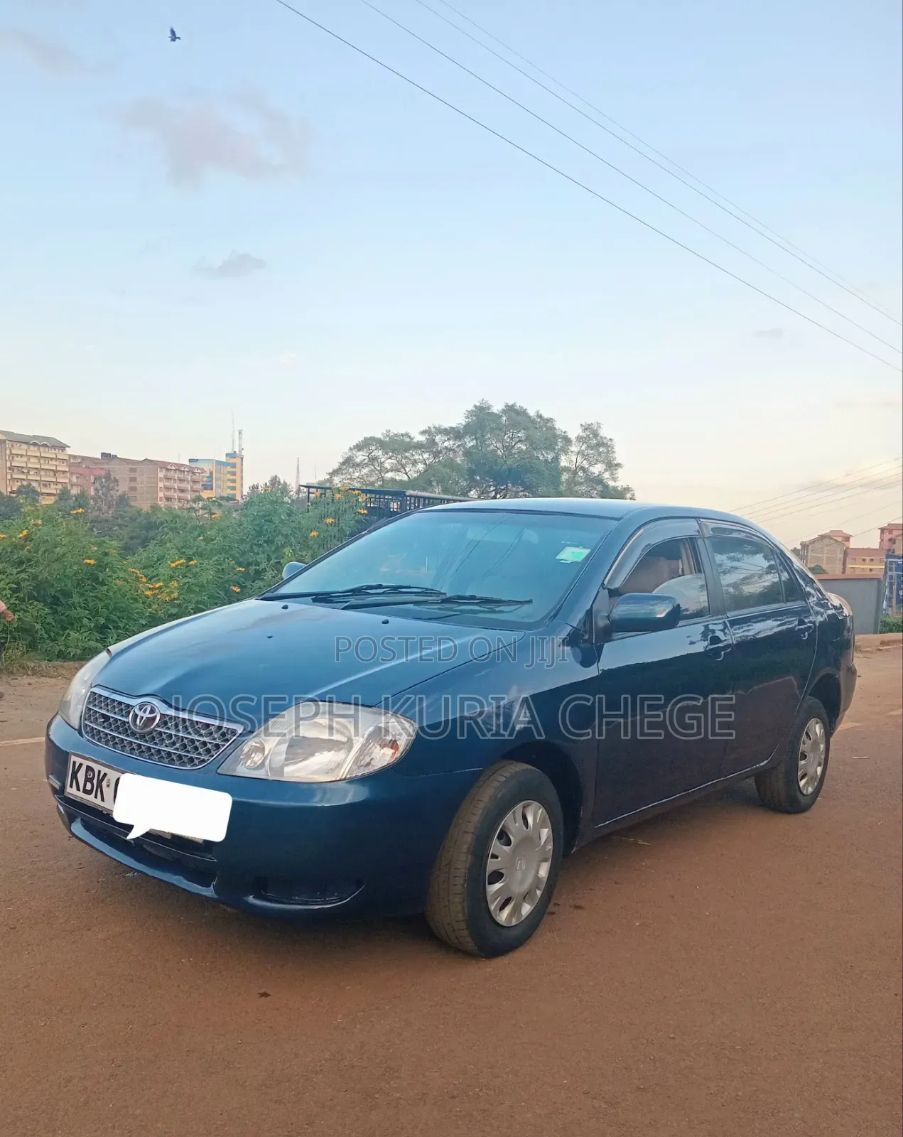 Toyota Corolla 2003 Blue