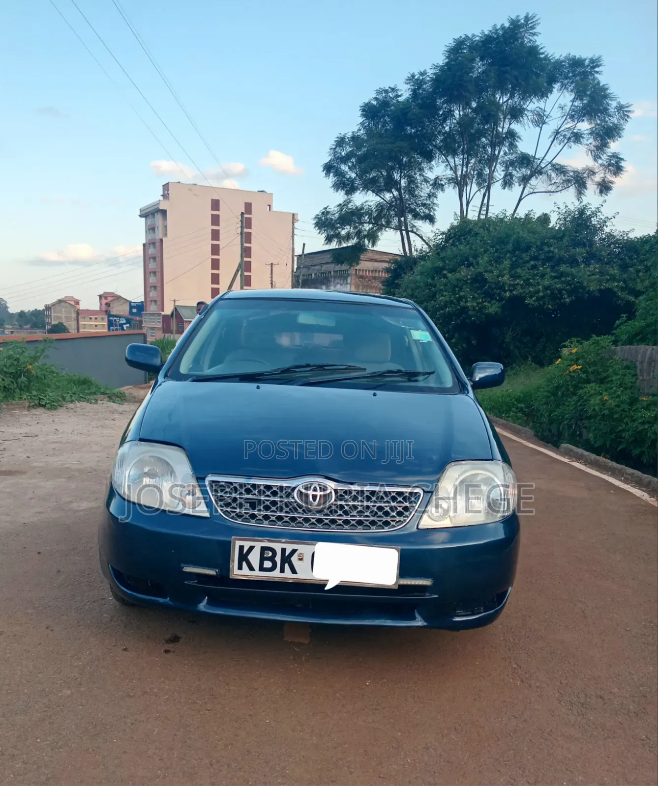 Toyota Corolla 2003 Blue