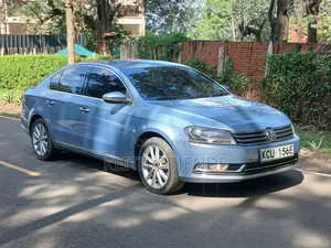 Volkswagen Passat 2013 Blue