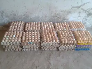 Improved Kienyeji Eggs