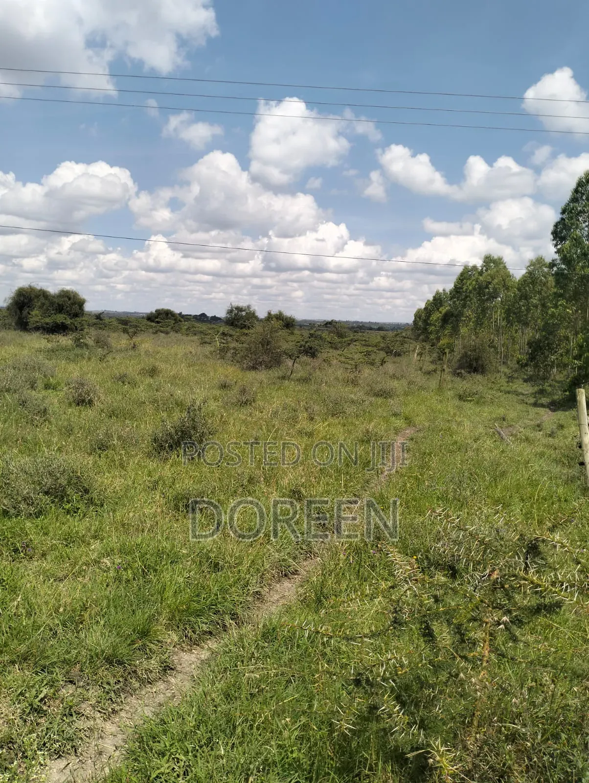 10 Acres Land for Sale