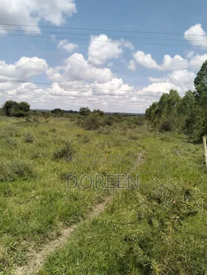 10 Acres Land for Sale