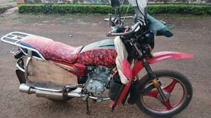 Captain CP150-10 2017 Red