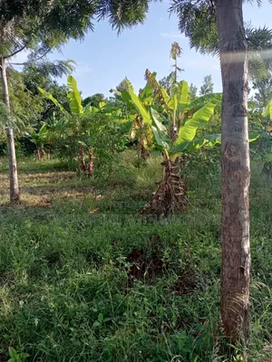 1/2 Acre for Sale in Gatarwa, Kagio.
