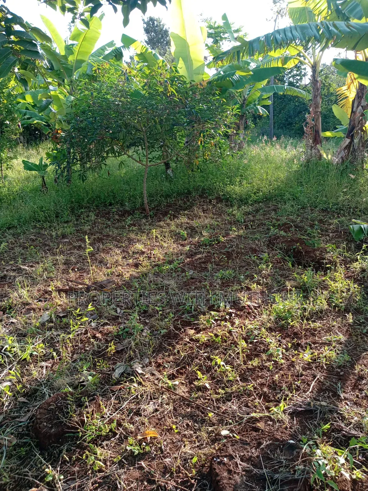 1/2 Acre for Sale in Gatarwa, Kagio.