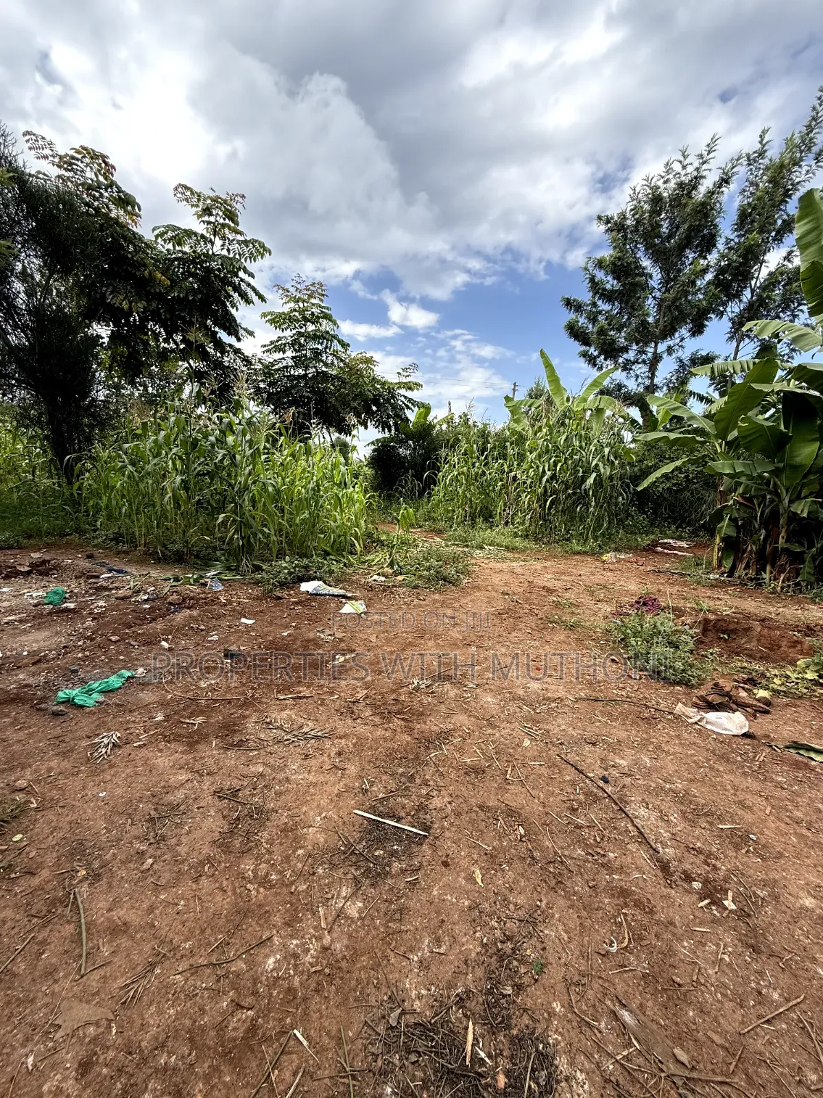 1/2 Acre Land for Sale in Gatuto, Kirinyaga County.