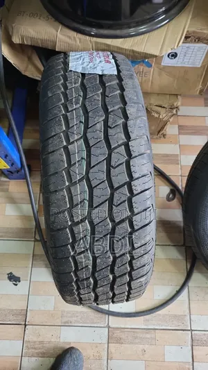 225/60r17 Zextour a/T