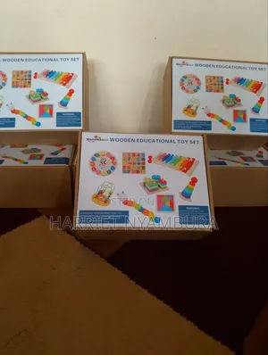 Montessori Educational Toys