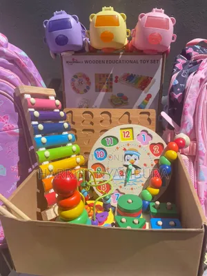 Montessori Educational Toys