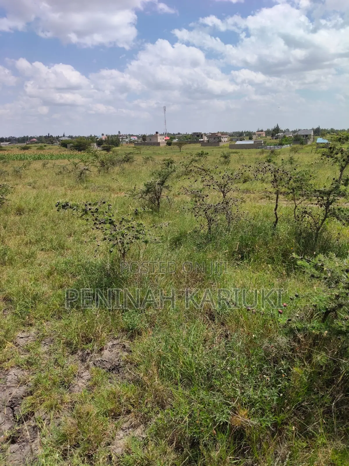 50by 100 Plot Opposite KBC Near Eastern Ark Hotel, Kangundo Rd, Malaa