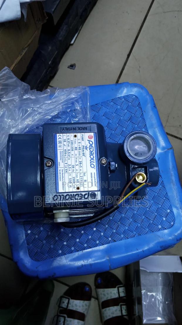Pedrollo Water Pump and Controller - main view