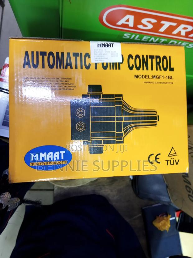 Pedrollo Water Pump and Controller - thumbnail 2