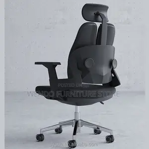 Office Chairs; Orthopedic Executive Chair With Dual Backrest