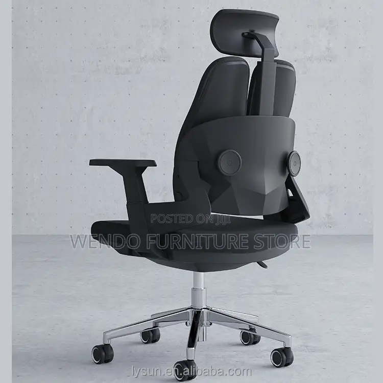Office Chairs; Orthopedic Executive Chair With Dual Backrest