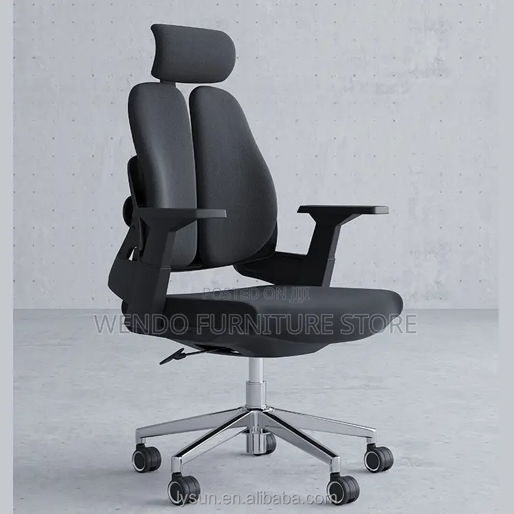 Office Chairs; Orthopedic Executive Chair With Dual Backrest