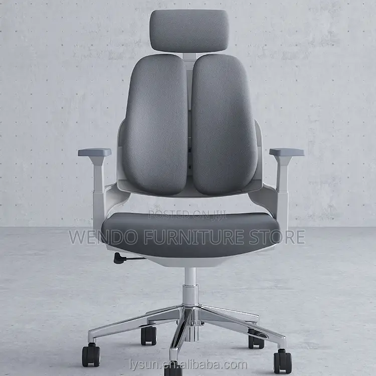 Office Chairs; Orthopedic Executive Chair With Dual Backrest