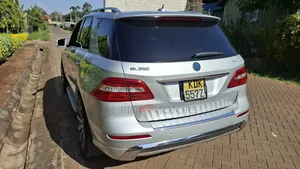 Mercedes-Benz M Class 2014 Silver