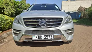 Mercedes-Benz M Class 2014 Silver