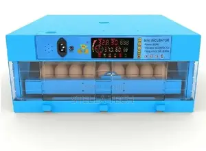 Eggs Incubator