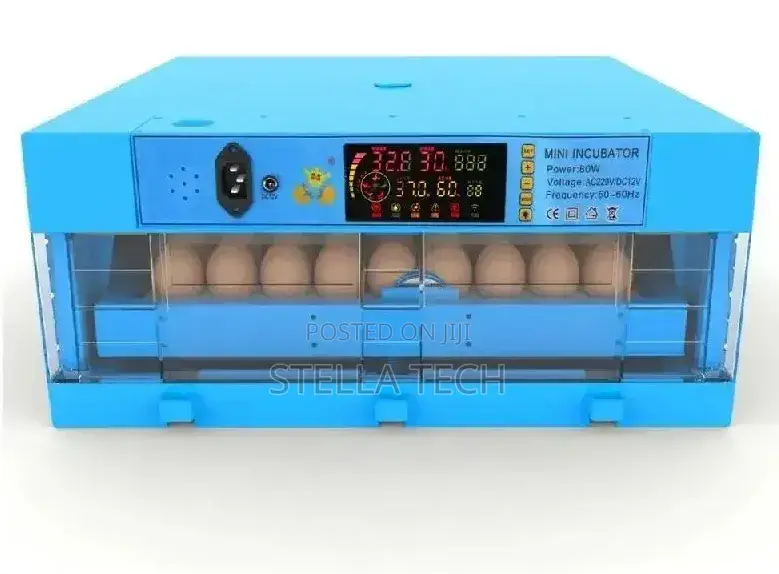 Eggs Incubator